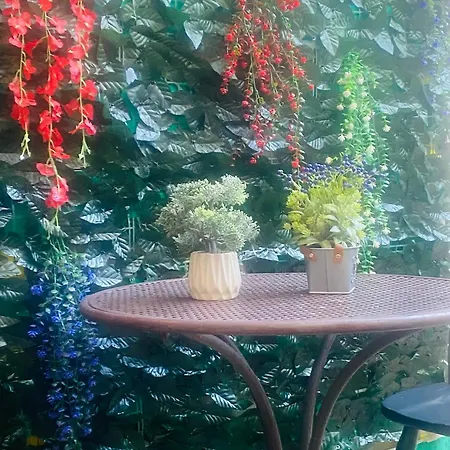 아파트 Avli House *